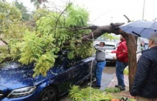 Belediyeye görüşmeye gitti, geri döndüğünde...