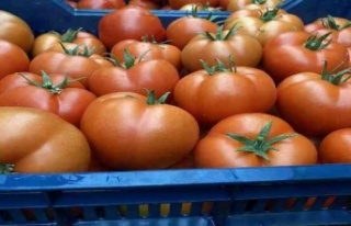 Domatesin fiyatı geçen yıla göre yüzde 63.98...