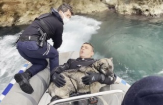 Falezlerde mahsur kalan köpek deniz polisinin 'film...