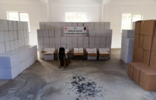 Gazipaşa'da durdurulan kamyonun kasasından...