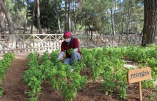 Hayvanat Bahçesi’ne ‘Koku Bahçesi’ kuruldu