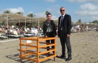 Kasım ayında denizle buluşan caretta caretta yavruları...