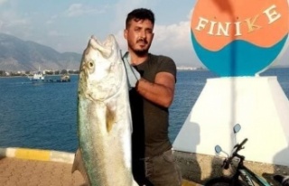 Kıyıdan 17 kiloluk kuzu balığı avladı