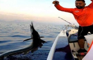 Nadir görülen merlin balığını Alanya'da...