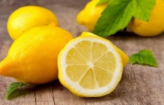 Rusya, limon alımlarını durdurdu