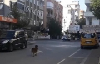 Saygı duruşunda yerinden bir an olsun kıpırdamayan...