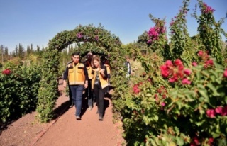 Şehrin merkezine botanik bahçe