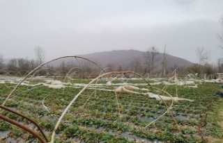 Seralar lodosla parçalandı