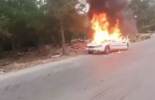 Sokak üzerinde park halindeki araç alev topuna döndü