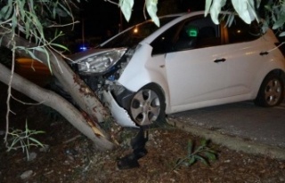 Virajı alamayan otomobil ağaca çarptı: 2 yaralı
