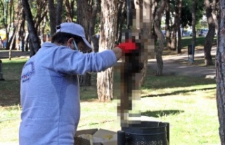 Yanarak telef olan kedinin çöp kutusuna atılması...