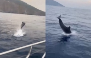 Yunusun tekne ile yarışı görsel şölen oluşturdu