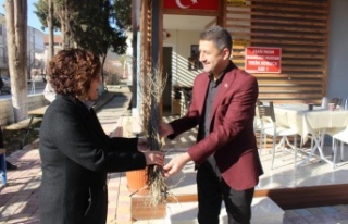 1 milyon adet orman ağacı fidanı toprakla buluşacak