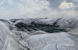 2 gün sonra hasat yapılacak seralar, fırtınada...