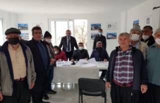 Alanya'da yangından etkilenen bölgelere fidan...