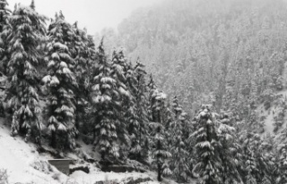 Alanya’nın yaylaları beyaza büründü