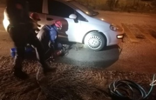 Arabanın çarptığı köpek, ön tekerleğe sıkıştı