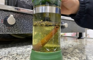 Bitki çayları için ezber bozan açıklama