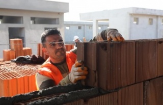 Büyükşehirden 2 bin sokak hayvanına bakım evi