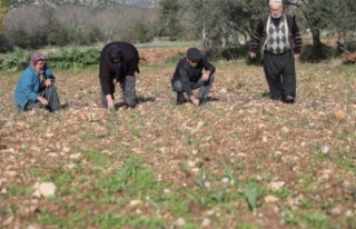 Büyükşehir’den Tarım Kooperatifi’ne 10 bin...