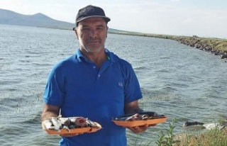 Doğa sever tır sürücüsünden geriye ayı beslerken...