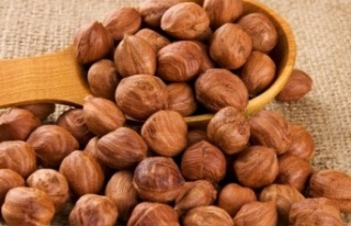 Fındık ihracatı geçen yıla göre arttı