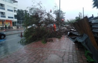 Fırtına ve yağışın etkili olduğu Antalya’da...