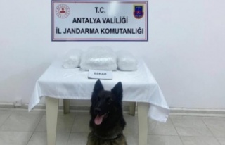 Gazipaşa'da durdurulan otobüste 300 bin TL...