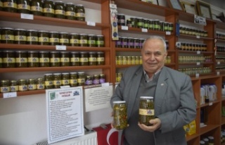 Herkesin zehirli bildiği kapari karpuzunu dünyaya...