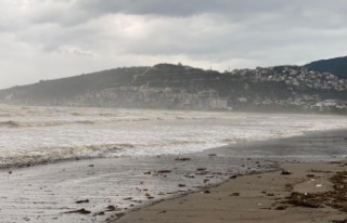 Kırmızı Kod’lu Finike’de deniz kahverengiye...
