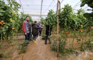 'Kırmızı kodlu' Kumluca'da dereler...