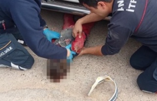 Okul servisinin altında kalan 3 yaşındaki çocuk...