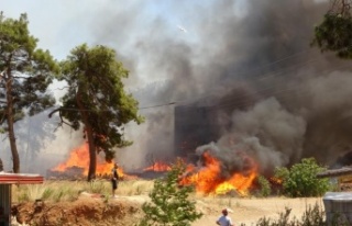 Orman yangınının ilk duruşmasından tutuksuz yargılama...