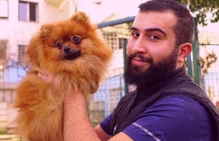 Profesyonel köpek eğitmeninden 10 adımda köpek...