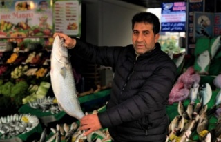 Tezgahlarda kofana bolluğu yaşanıyor