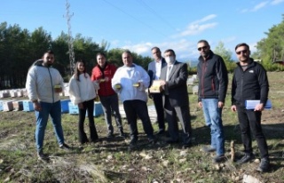 Van'daki selde 200 kovan arısı telef olan arıcının...