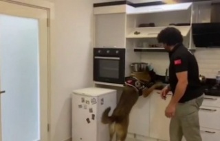 1 yılda 638 kilogram uyuşturucu madde ele geçirildi