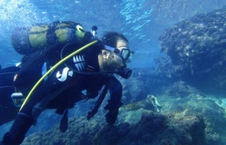 Akdeniz kıyıları risk altında