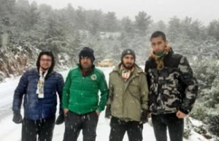 Alanya'da Grup Şimşekler'den sokak hayvanlarına...