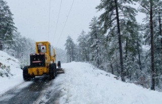 Alanya'nın yüksek kesimlerinde yollar karla...