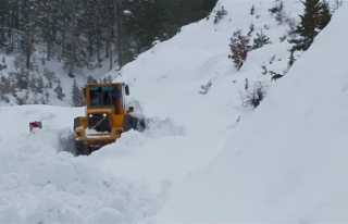 Alanya Belediyesi gece gündüz sahada 