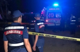 Alanya'da domuz saldıran şahıs hayatını...