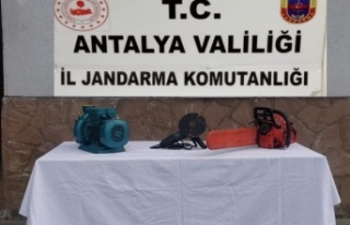 Alanya'da hırsızlara jandarma baskını