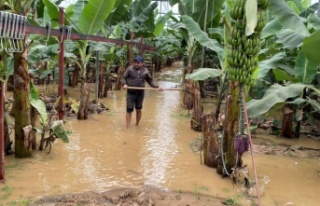 Alanya'da seraları su bastı