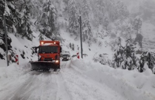 Alanya'da yetkililer yalvardı! Bu yola gelmeyin