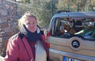 Alman kadının aracını Alanya'da taş ve sopalarla...