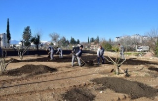 Ay Deresi’nde çevre düzenleme çalışması