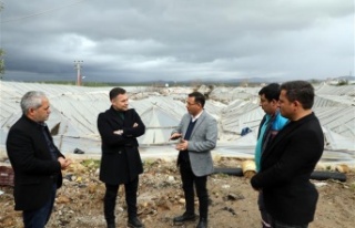 Başkan Yücel’den fırtına mağduru üreticilere...