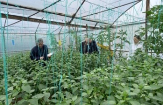 BATEM ve TARSİM ekipleri Antalya'da sel bölgesinde...