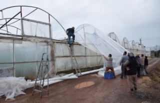 Bir saat arayla çıkan 2 hortum seralara zarar verdi